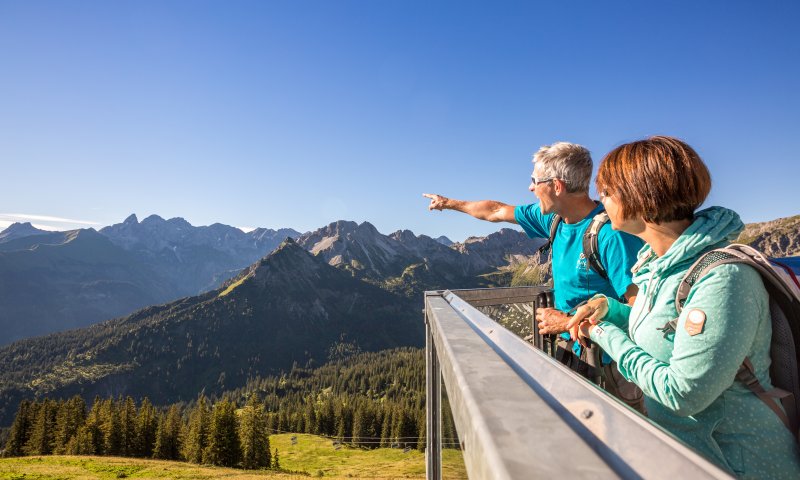 Blick auf die Trettachspitze vom Fellhorn aus