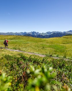 Panoramablick über Alpen