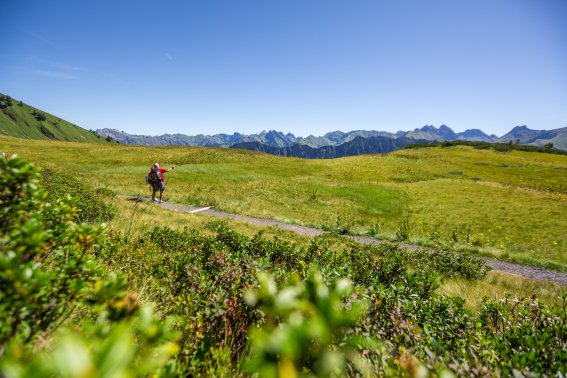 Panoramablick über Alpen