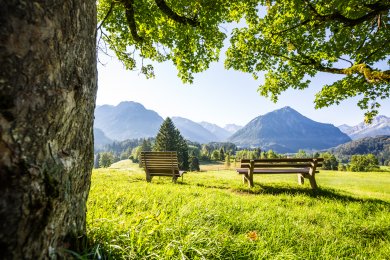 Am Moorweiher in Richtung Trettachtal bei Oberstdorf im Allgäu gibt es tolle Aussichtspunkte.