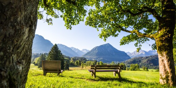 Viele Bänke zum Verweilen und Genießen