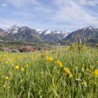Frühlingshafter Blick auf Oberstdorf