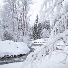 Winter-Spaziergang durch verschneite Wälder in Oberstdorf
