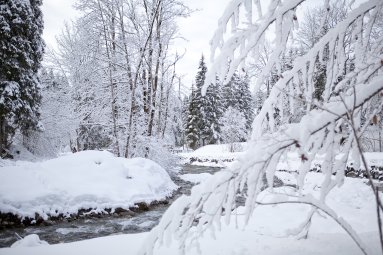 Winter-Spaziergang durch verschneite Wälder in Oberstdorf Winter-Spaziergang durch verschneite Wälder in Oberstdorf
