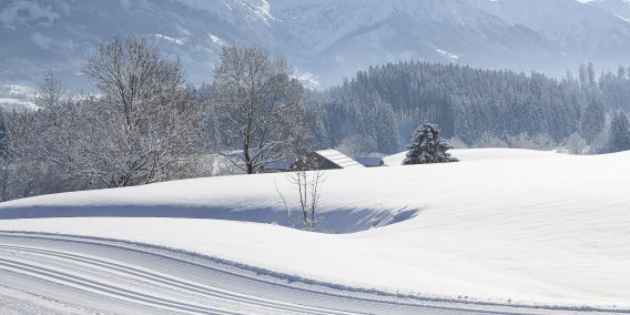 Nordisches Wintermärchen im Allgäu