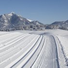 Langlaufen in unberühter Natur