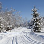 Perfekt präparierte Loipen, eine glitzernde Winterlandschaft und um einen rum nur die Stille unberührter Natur lassen jedes Langläuferherz höher schlagen.