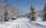 Perfekt präparierte Loipen, eine glitzernde Winterlandschaft und um einen rum nur die Stille unberührter Natur lassen jedes Langläuferherz höher schlagen.