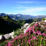 Sommerpanorama vom Nebelhorn