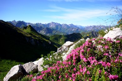 Sommerpanorama vom Nebelhorn