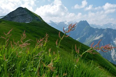 Wanderung zum Laufbacher Eck