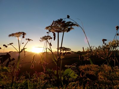 Sonnenaufgang am Walmendingerhorn