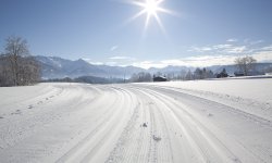 Langlaufen im Schneeparadies