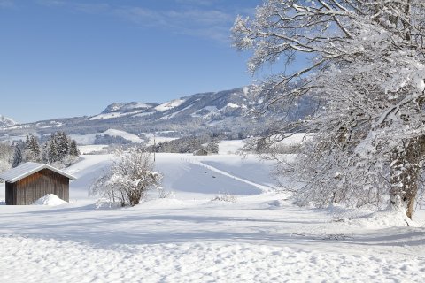 Verschneit, vereinsamt und traumhaft schön präsentiert sich die Winterlandschaft des Allgäus.