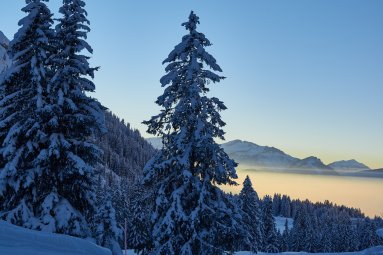 Winterlandschaft im Allgäu - Sonnenuntergang am nebelhorn