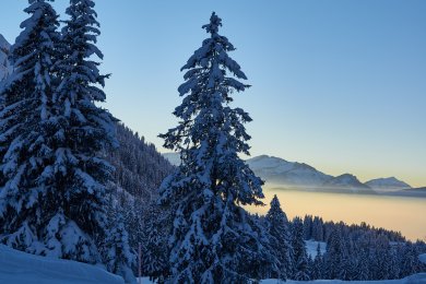 Winterlandschaft im Allgäu - Sonnenuntergang am nebelhorn