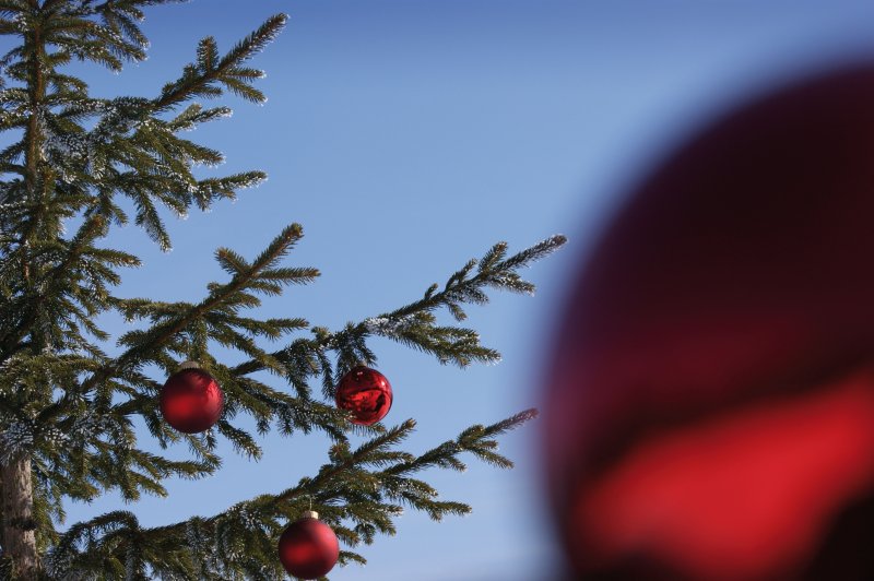 Weihnachten im Schnee feiern auf einer Hütte in den Bergen