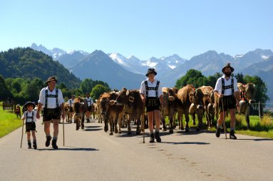 Oberstdorfer Viehscheid