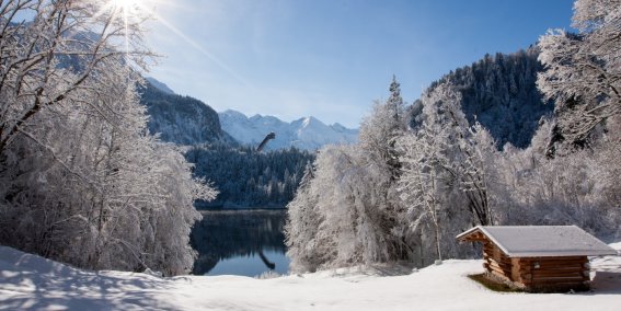 Können Sie die Schanze sehen?