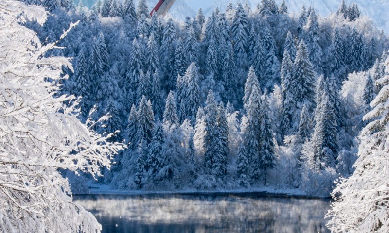 Entdecke den Freibergsee im Winter