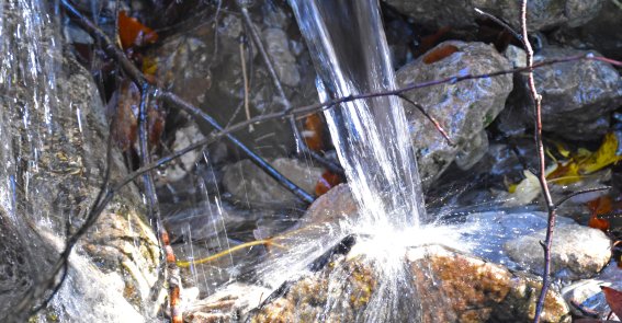 Frisches klares Bergwasser aus den Allgäuer Alpen