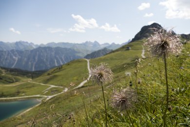 Die Kanzelwand zieht Sie im Sommer mit Ihren traumhaften Bergpanorama und saftig grünen Wiesenhügeln in Ihren Bann