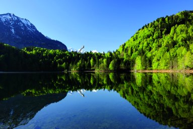 Freibergsee im Frühling