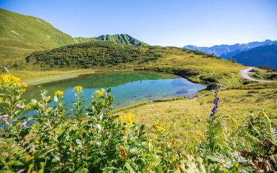 Der Schlappoldsee bei Oberstdorf ist ein idyllisches Bergjuwel auf 1.700 Metern Höhe. Mit seinem klaren, türkisblauen Wasser und den beeindruckenden Bergpanoramen ist er ein beliebtes Ziel für Wanderer und Naturliebhaber.