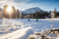 Langlaufen mit wunderschönem Alpenpanorama