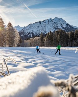 Langlaufen mit wunderschönem Alpenpanorama