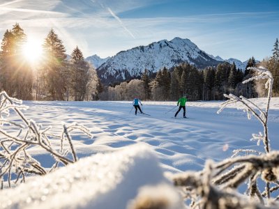 Langlaufen mit wunderschönem Alpenpanorama