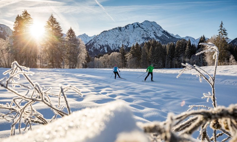 Langlaufen mit wunderschönem Alpenpanorama