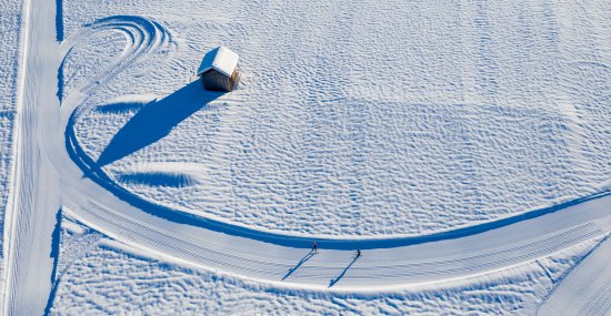 Unberührte Schneelandschaft beim Langlaufen bewundern.