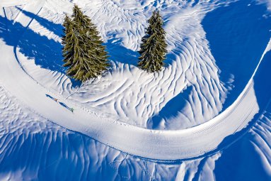 Wunderschöne Winterlandschaft beim Langlaufen bestaunen.