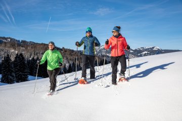 Sonne, Berge, frische Luft - dieser Tag ist einfach perfekt!