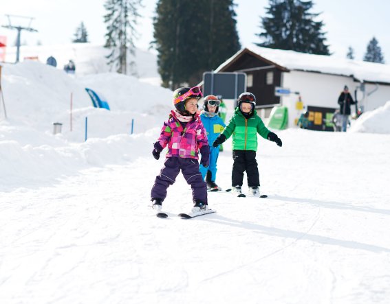 Der Familien Urlaub im Winter wird zum unvergesslichem Erlebnis! Skifahren, Rodeln und Schlittenfahren, die besten Winteraktivitäten warten darauf entdeckt zu werden!
