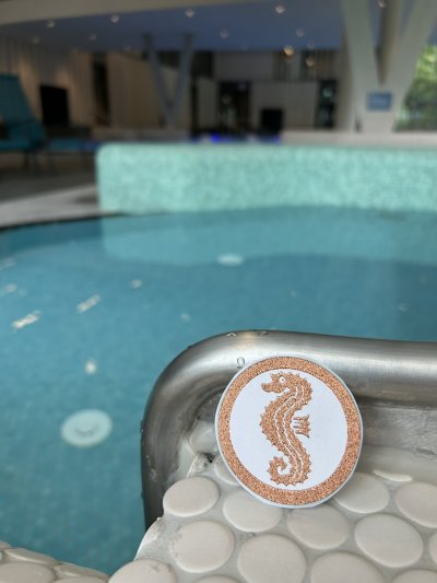 Seepferdchen in der Therme Seepferdchen-Abzeichen, im Hintergrund ist das Erlebnisbecken der Therme Oberstdorf zu sehen.