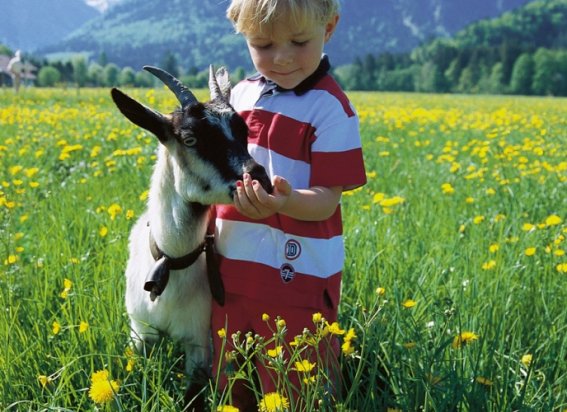 Junge mit Ziege