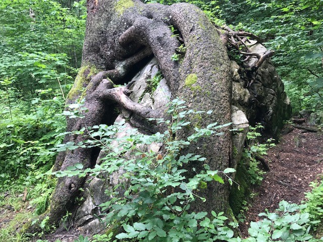 Bild zur Bewerbung von Körper, Geist & Seele