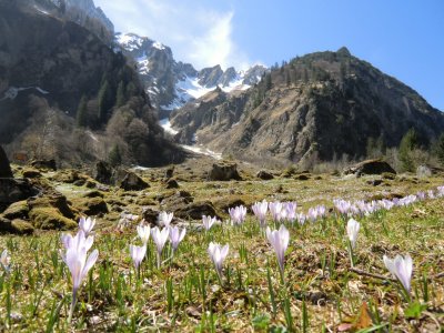 Oytal (3)