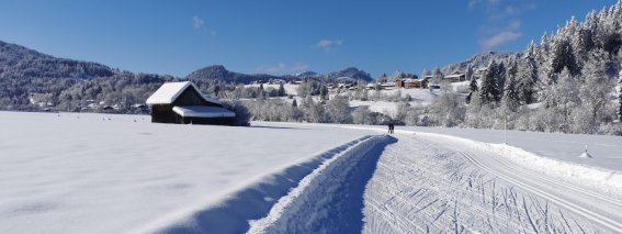 Otterrohr (2)