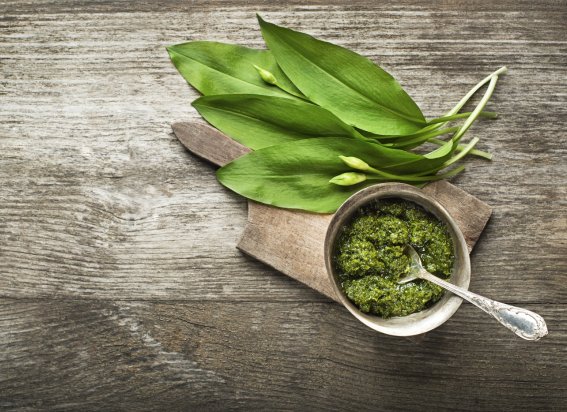 Bärlauchpesto