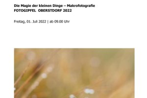Oberstdorfer Fotogipfel - Infoblatt Makrofotografie