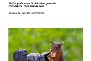 Infoblatt Tierfotografie