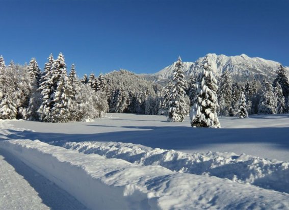 Ein Wintermärchen