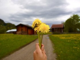 Ein Frühlingsgruß