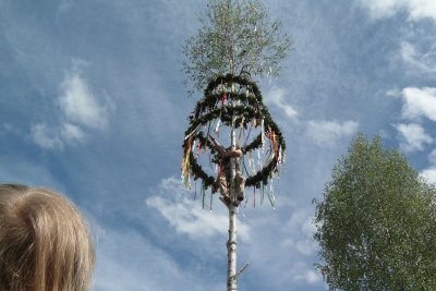 Maibaum