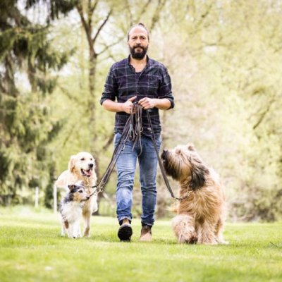 Hunde an Leine