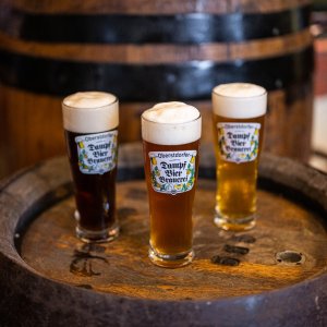 Frisch gezapftes Bier