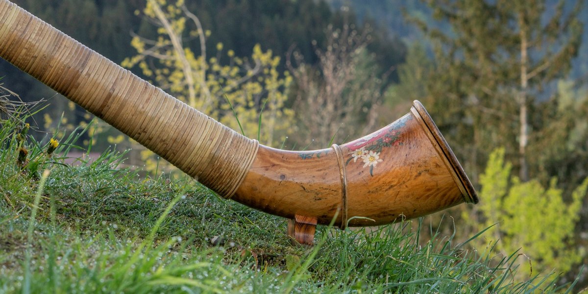 Alphorn Schnee